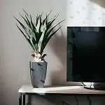 Appartement L'adorable Confort&central *